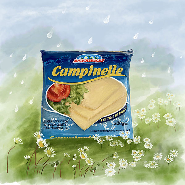 Campinelle